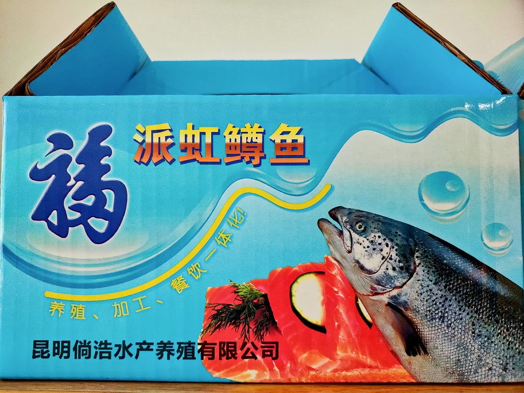 福派虹鱒魚 福派虹鱒魚